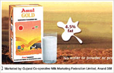 Amul Gold