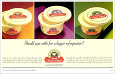  Amul Cheese Spread