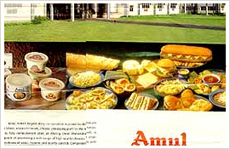 Amul Processed Cheese